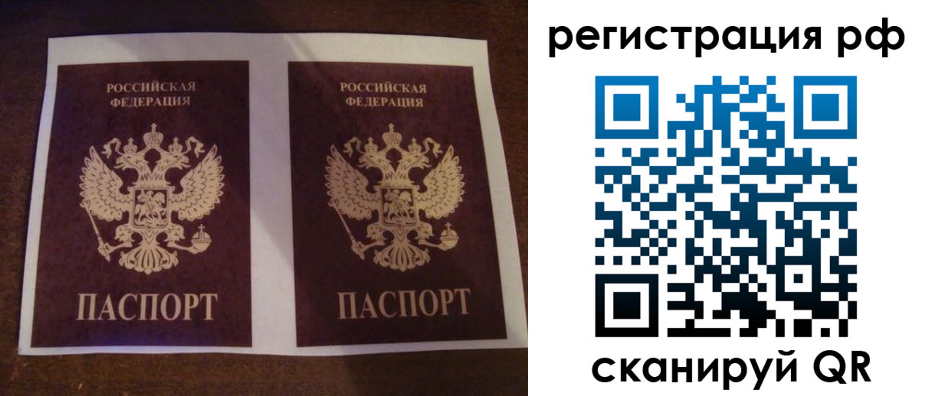 временная регистрация гарантия в Долгопрудном